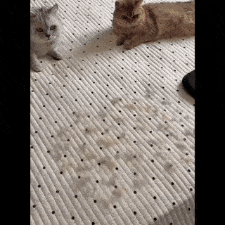 Dehair Glove ™ - De Ultieme Huisdierhandschoen